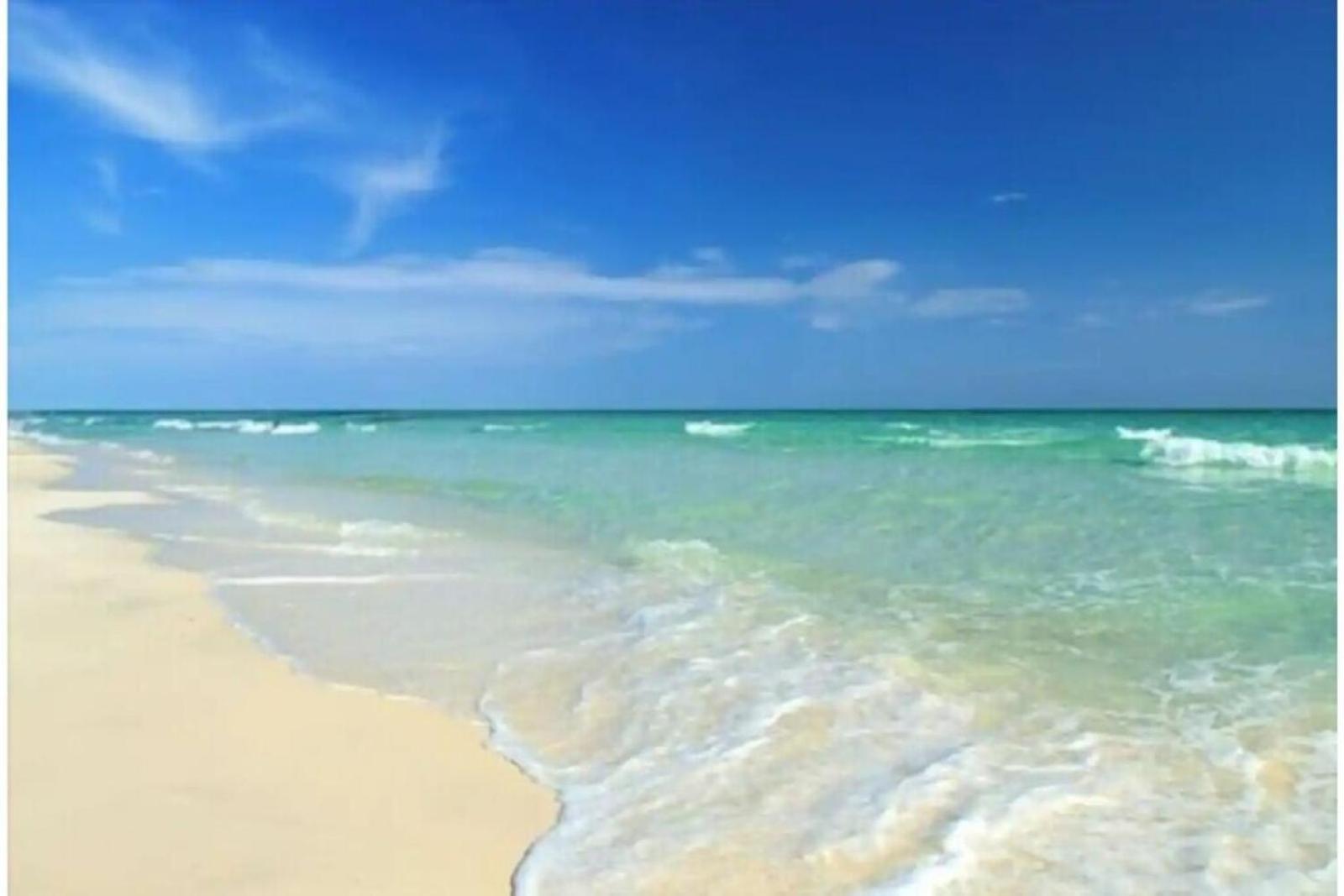 Beachfront Getaway In Siesta Key Ngoại thất bức ảnh